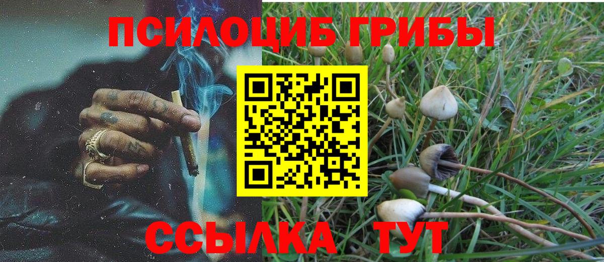 Алексеевка  Галлюциногенные грибы MAGIC MUSHROOMS  Вход с VPN 